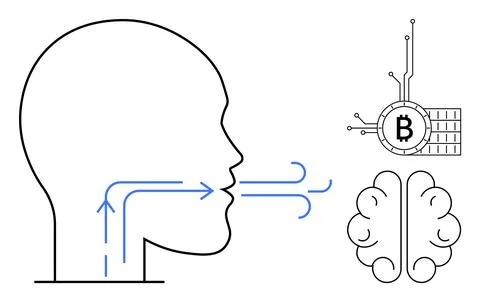Human Interaction with Bitcoin Technology and Cognitive Processes Illustrazione stock