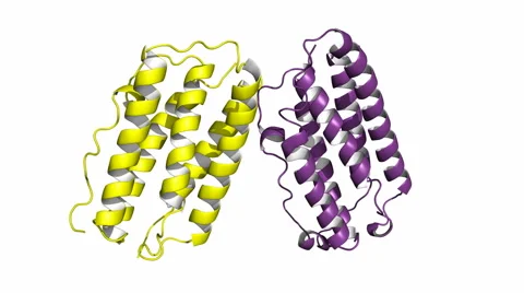 Human interferon beta, rotating cartoon model Stock Footage 42226149