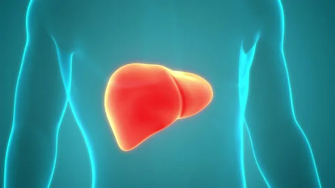Human Internal Digestive Organ Liver Anatomy Animation Concept 스톡 동영상 200858870