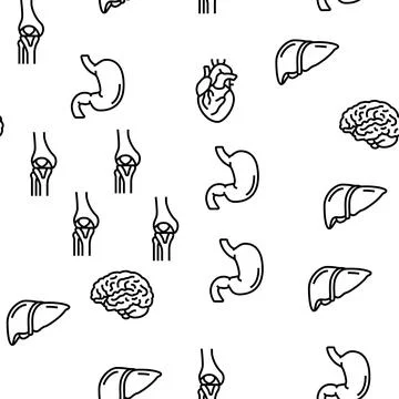 Human Internal Organ Anatomy Vector Seamless Pattern Stock Illustration