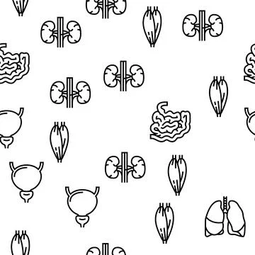 Human Internal Organ Anatomy Vector Seamless Pattern Stock Illustration
