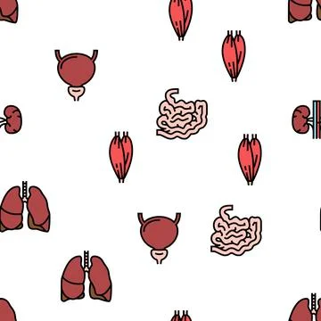 Human Internal Organ Anatomy Vector Seamless Pattern Illustrazione stock