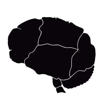 Human internal organ - brain Иллюстрация