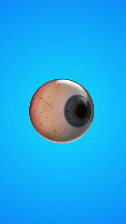 Human internal organ of eye Video stock 285595487