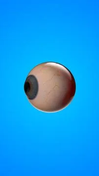 Human internal organ of eye 스톡 일러스트