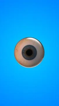 Human internal organ of eye 스톡 일러스트