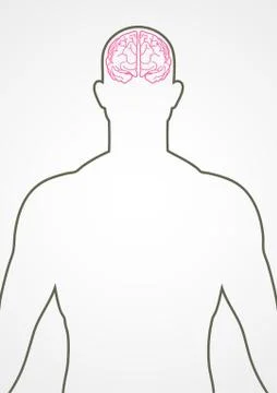 Human Internal Organ Stock Illustration