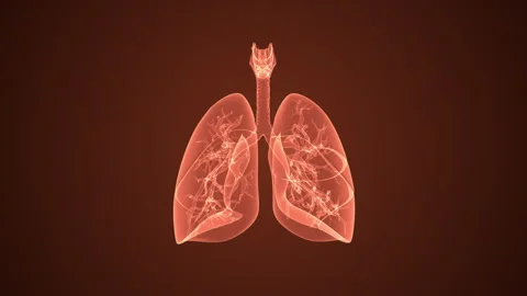 Human internal organ with lungs Stock Footage 262090816