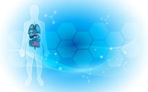Human internal organs anatomy background Illustrazione stock
