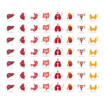 Human internal organs big set. Funny human body organs stickers. Kidneys, liver Stock Illustration