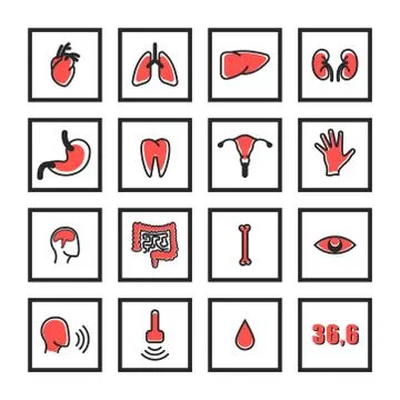 Human internal organs icons set for the clinic web, body part medical symbols Stock Illustration