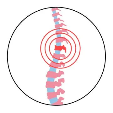 Human internal organs Illustrazione stock
