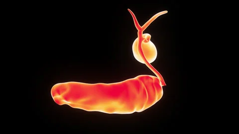 Human Internal Organs Pancreas with Gallbladder Anatomy Animation Concept 스톡 동영상 303623105