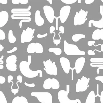 Human Internal organs pattern seamless. Anatomy background. Systems of man bo Stock Illustration