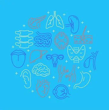 Human internal organs round concept banner in line style Stock Illustration