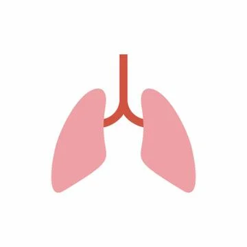 Human internal organs symbol.Vector design isolated on white background. Stock Illustration