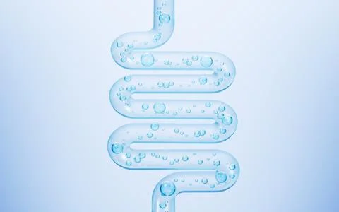 Human intestinal system and probiotics, 3d rendering. Stock Illustration