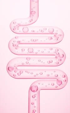 Human intestinal system and probiotics, 3d rendering. Stock Illustration