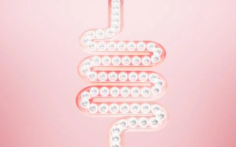 Human intestinal system and probiotics, 3d rendering. Stock Illustration