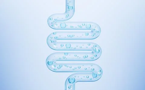 Human intestinal system and probiotics, 3d rendering. Stock Illustration