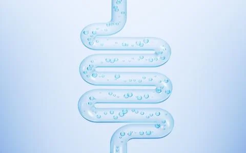 Human intestinal system and probiotics, 3d rendering. Stock Illustration