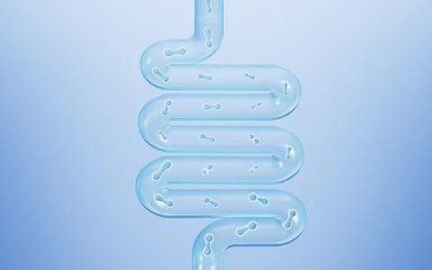 Human intestinal system and probiotics, 3d rendering. Stock Illustration