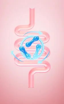 Human intestinal system and probiotics, 3d rendering. Illustrazione stock