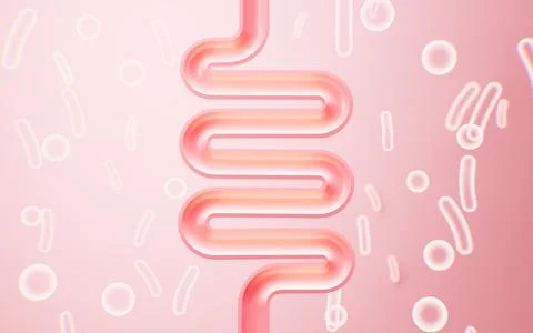 Human intestinal system and probiotics, 3d rendering. Stock Illustration