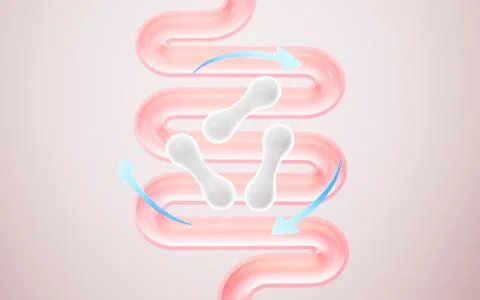 Human intestinal system and probiotics, 3d rendering. Stock Illustration