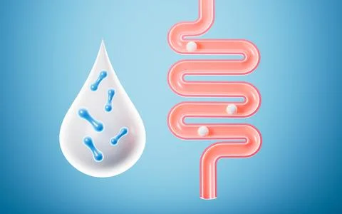 Human intestinal system and probiotics, 3d rendering. Illustrazione stock