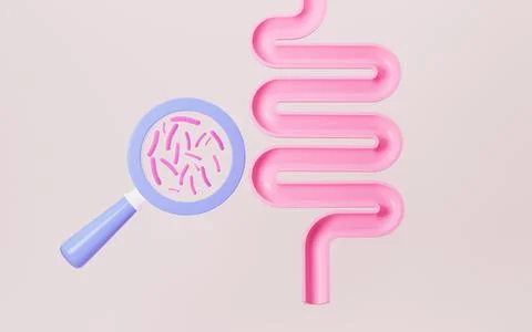 Human intestinal system and probiotics, 3d rendering. Stock Illustration