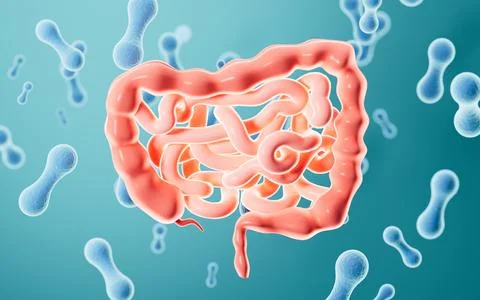 Human intestinal system and probiotics, 3d rendering. Stock Illustration
