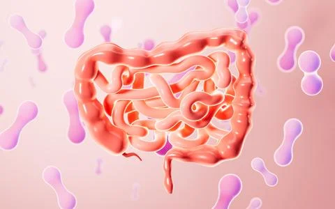 Human intestinal system and probiotics, 3d rendering. Stock Illustration