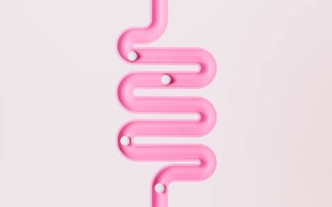 Human intestinal tract and digestive system, 3d rendering. Stock Illustration
