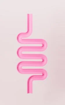 Human intestinal tract and digestive system, 3d rendering. Stock Illustration