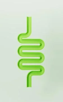 Human intestinal tract and digestive system, 3d rendering. Stock Illustration