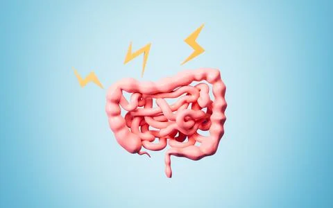 Human intestinal tract and digestive system, 3d rendering. Stock Illustration