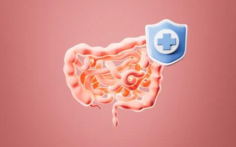 Human intestinal tract and digestive system, 3d rendering. Stock Illustration