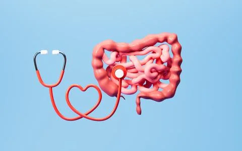 Human intestinal tract and digestive system, 3d rendering. Stock Illustration