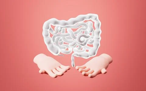 Human intestinal tract and digestive system, 3d rendering. Stock Illustration