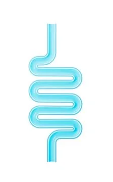 Human intestinal tract and digestive system, 3d rendering. Stock Illustration