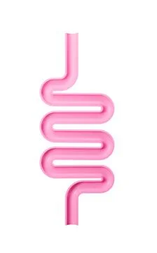 Human intestinal tract and digestive system, 3d rendering. Stock Illustration