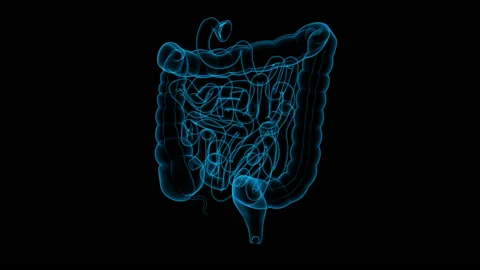 Human Intestine Stock-Footage 133143203