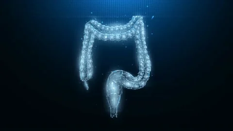 Human intestine futuristic polygonal motion graphics. Видео 220718116