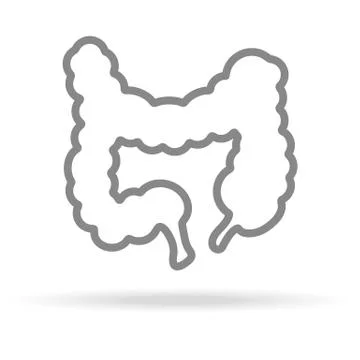 Human Intestine Icon In Trendy Thin Line Style Isolated On White Background Stock Illustration