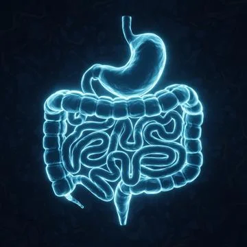 Human intestines on blue background. X-ray hologram Stock Illustration