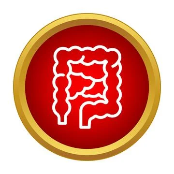 Human intestines digestive system internal organ icon Stock Illustration