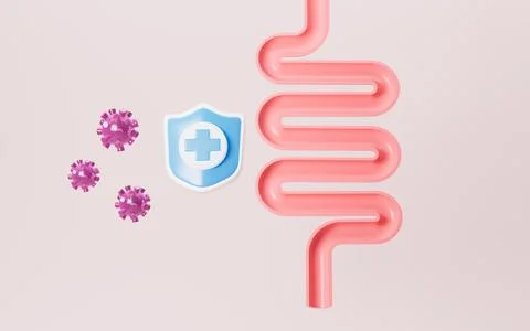 Human intestines, enteritis, intestinal flora imbalance, etc. 3d rendering. Stock Illustration