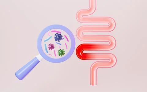 Human intestines, enteritis, intestinal flora imbalance, etc. 3d rendering. Stock Illustration