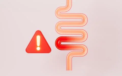 Human intestines, enteritis, intestinal flora imbalance, etc. 3d rendering. Stock Illustration